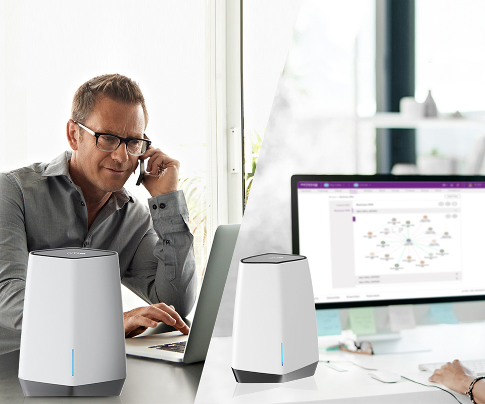 OrbiPro_Insight_Business_VPN