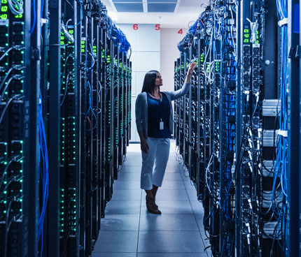 descrizione immagine